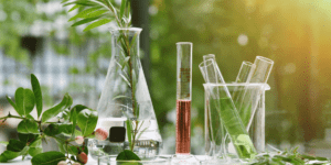 immagini di provette da laboratorio con foglie di cannabis