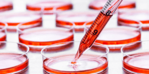 immagine di colture di colore rosso