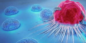 immagine di un Microbiota