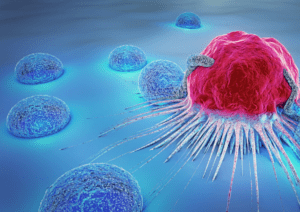 immagine di un Microbiota