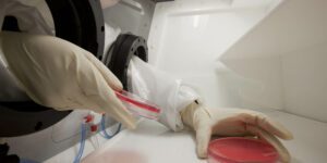 applicazione della proteomica in laboratorio
