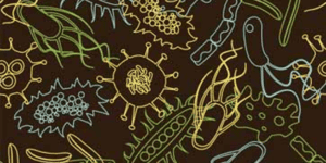 disegno di microbi