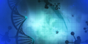 immagine digitale rappresentante il DNA