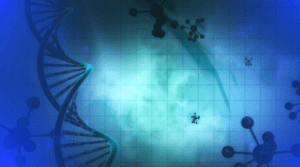 immagine digitale rappresentante il DNA